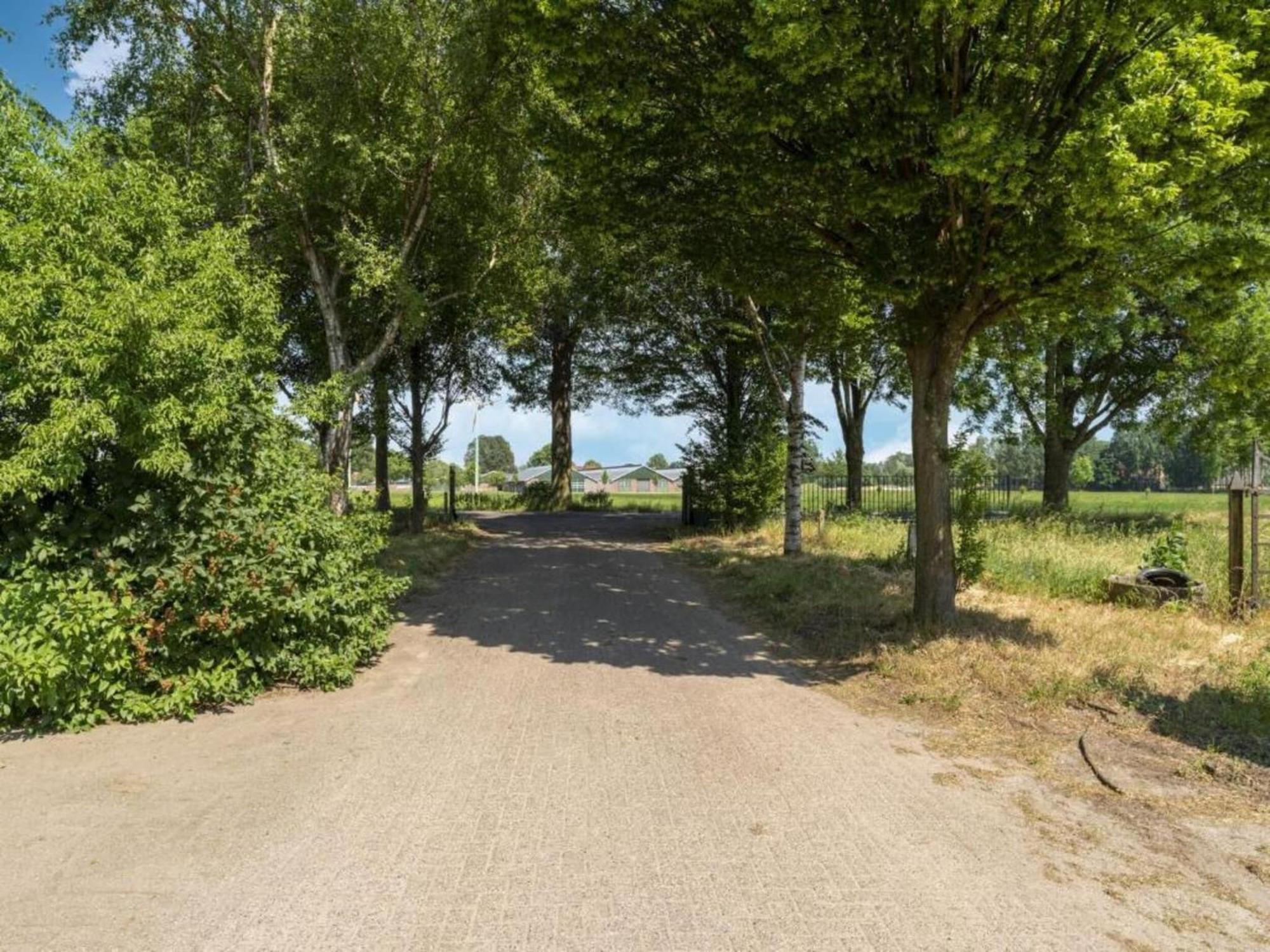 Monumental Farm In The Ash Landscape Villa Geesteren  Eksteriør bilde