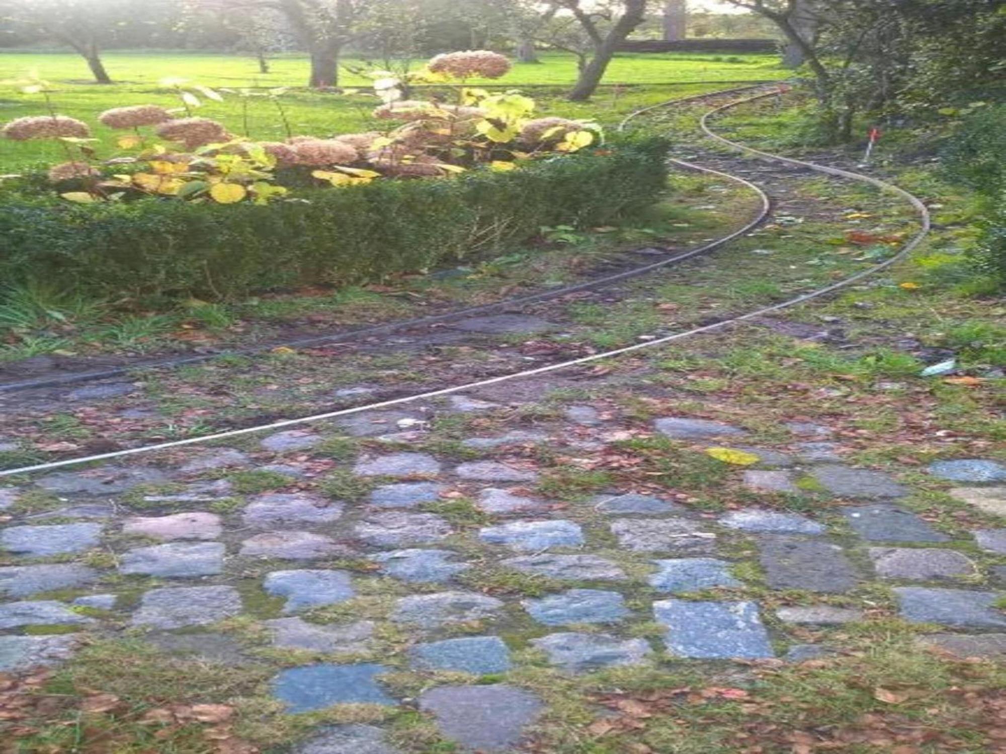 Monumental Farm In The Ash Landscape Villa Geesteren  Eksteriør bilde